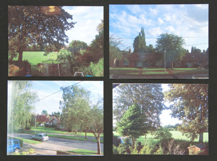 Sun Shining Stanborough - My neighbourhood. This is where I live and the back field in one of them, and I have lived there so long and it means so much to me. | Harry G
